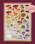 Pilzvielfalt Bundle