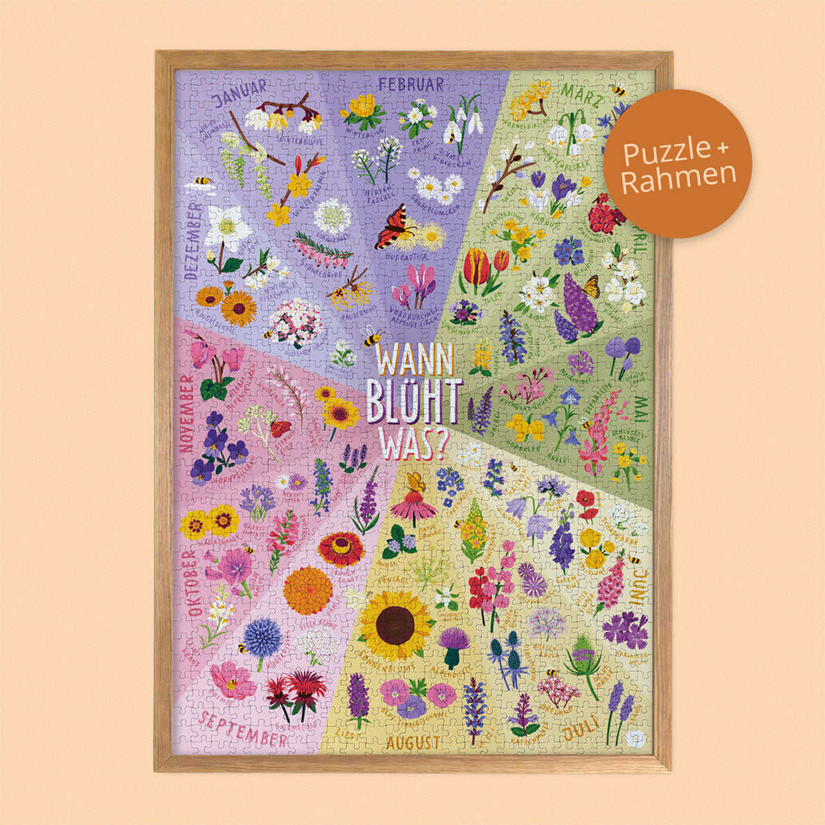 Blütezeit Bundle
