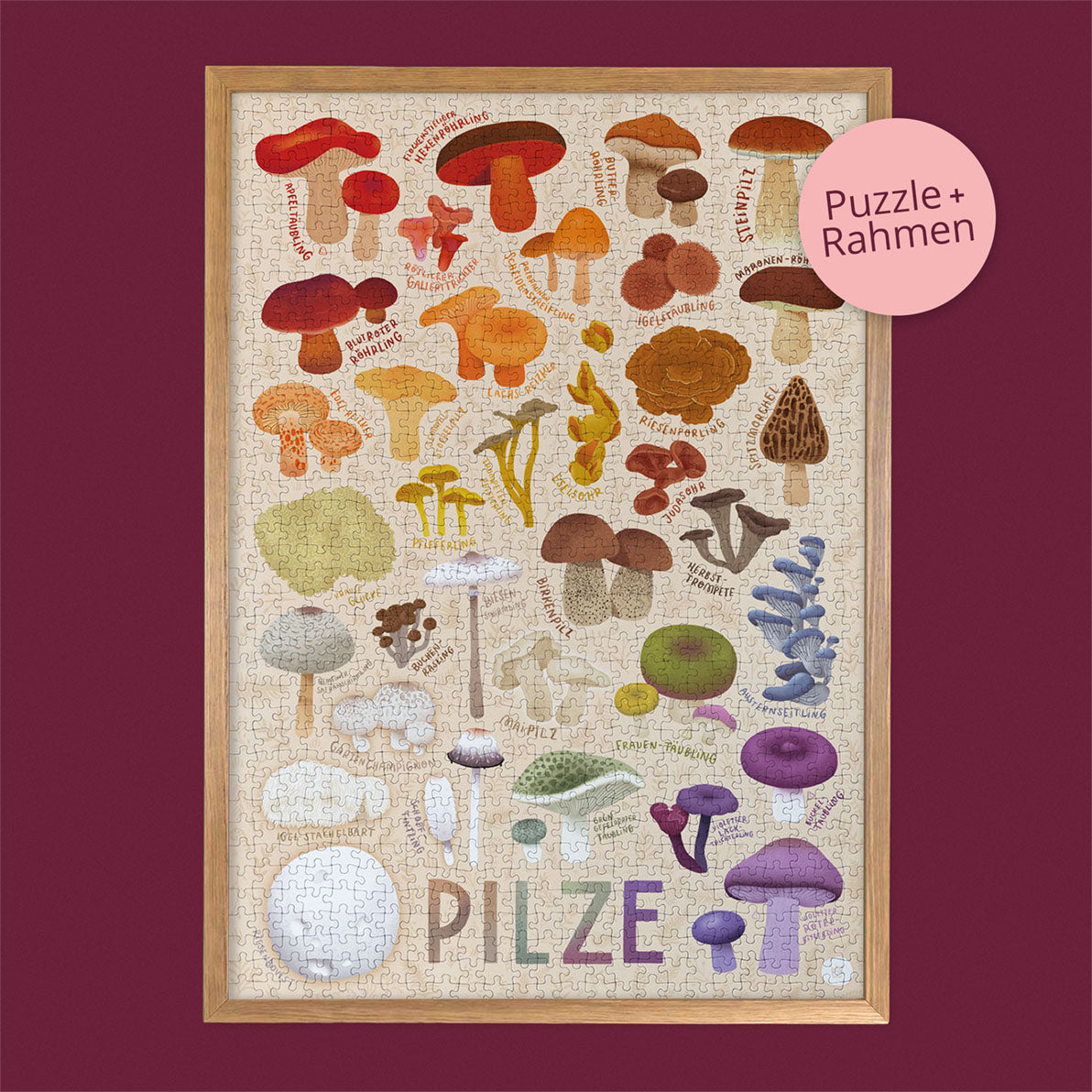 Pilzvielfalt Bundle