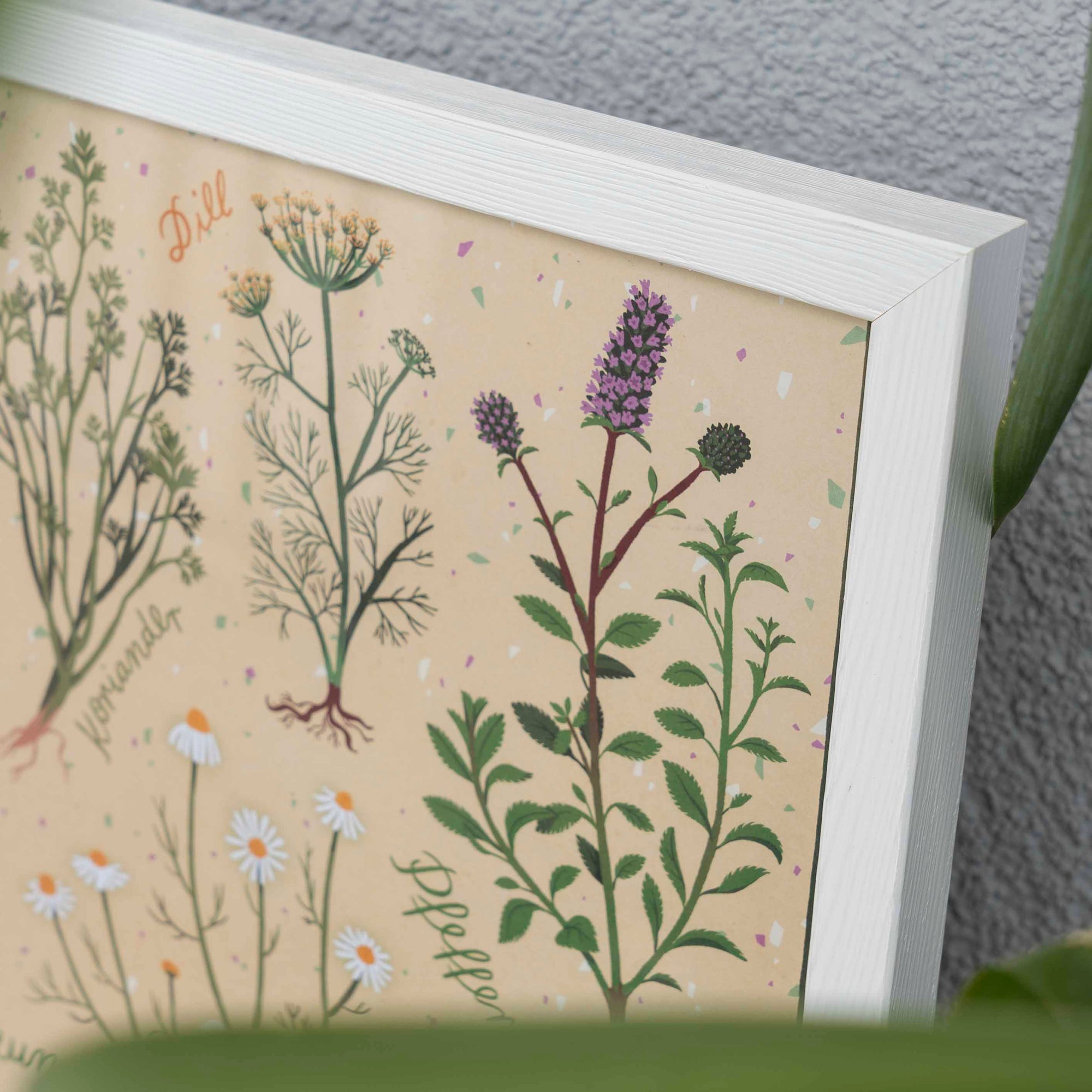 Kräutergarten Poster
