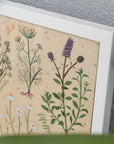 Kräutergarten Poster
