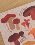 Pilzvielfalt Poster