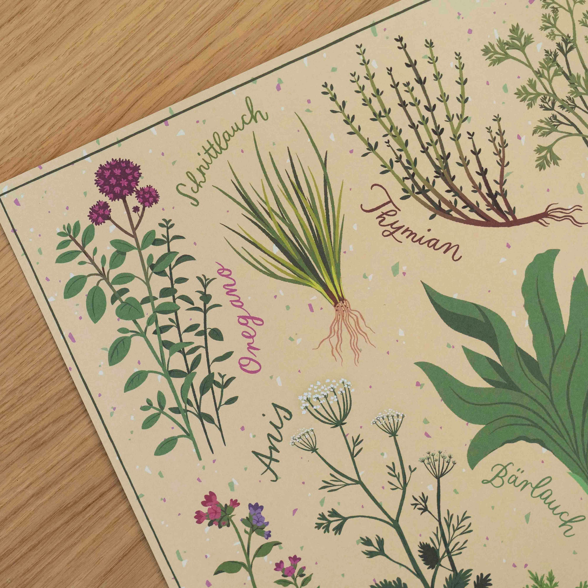Kräutergarten Poster