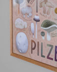 Pilzvielfalt Poster
