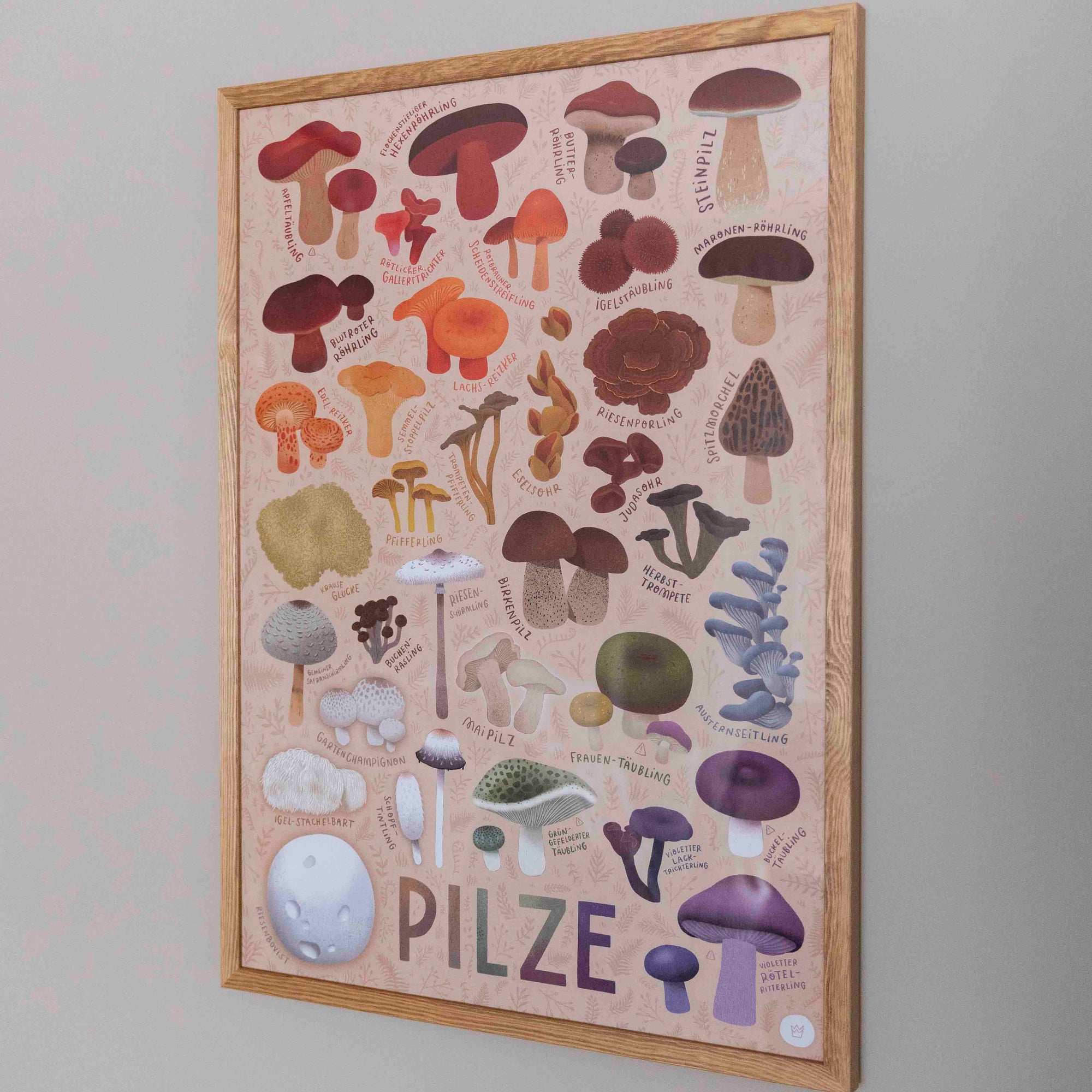 Pilzvielfalt Poster