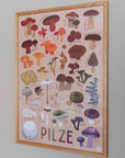 Pilzvielfalt Poster