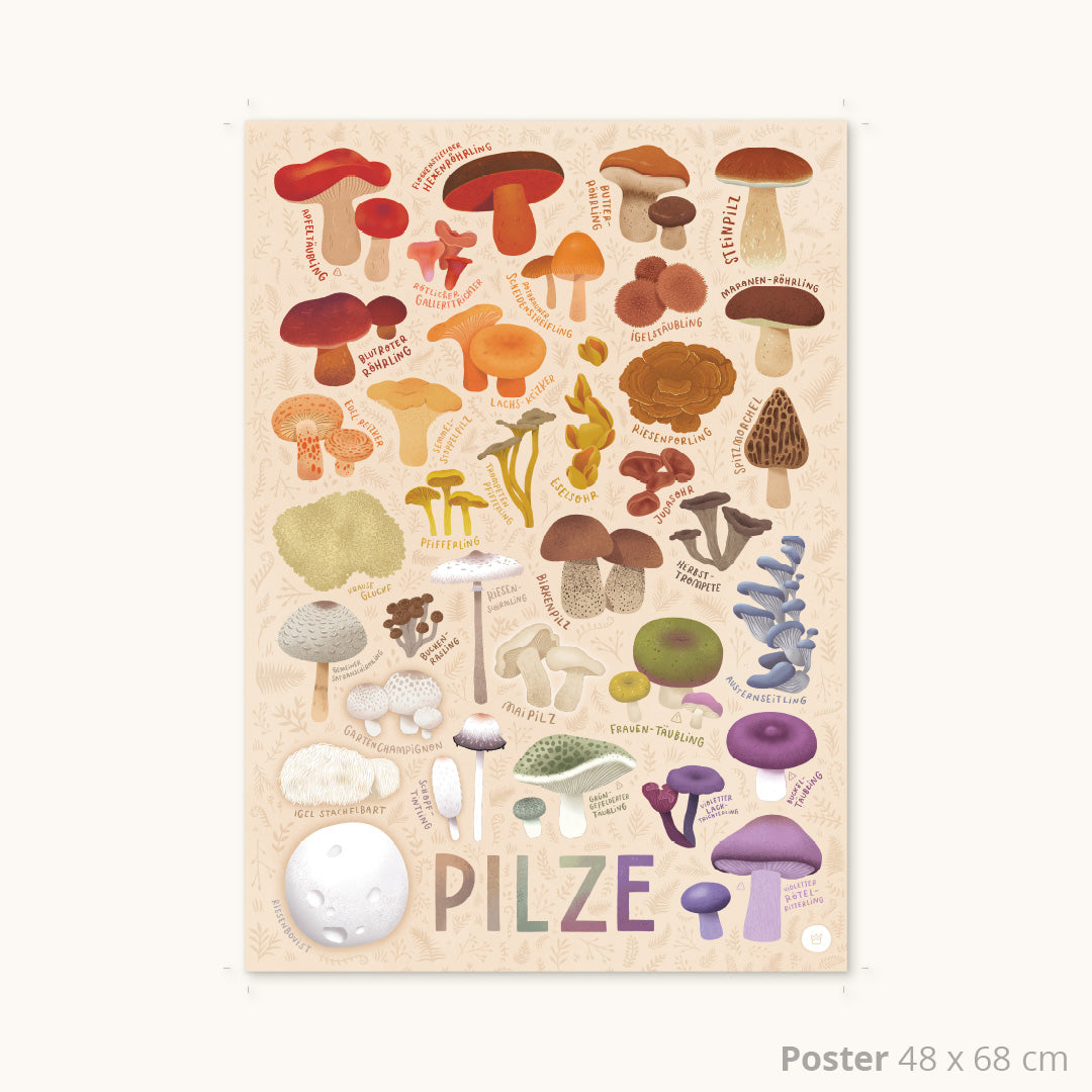 Pilzvielfalt Poster