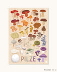 Pilzvielfalt Poster